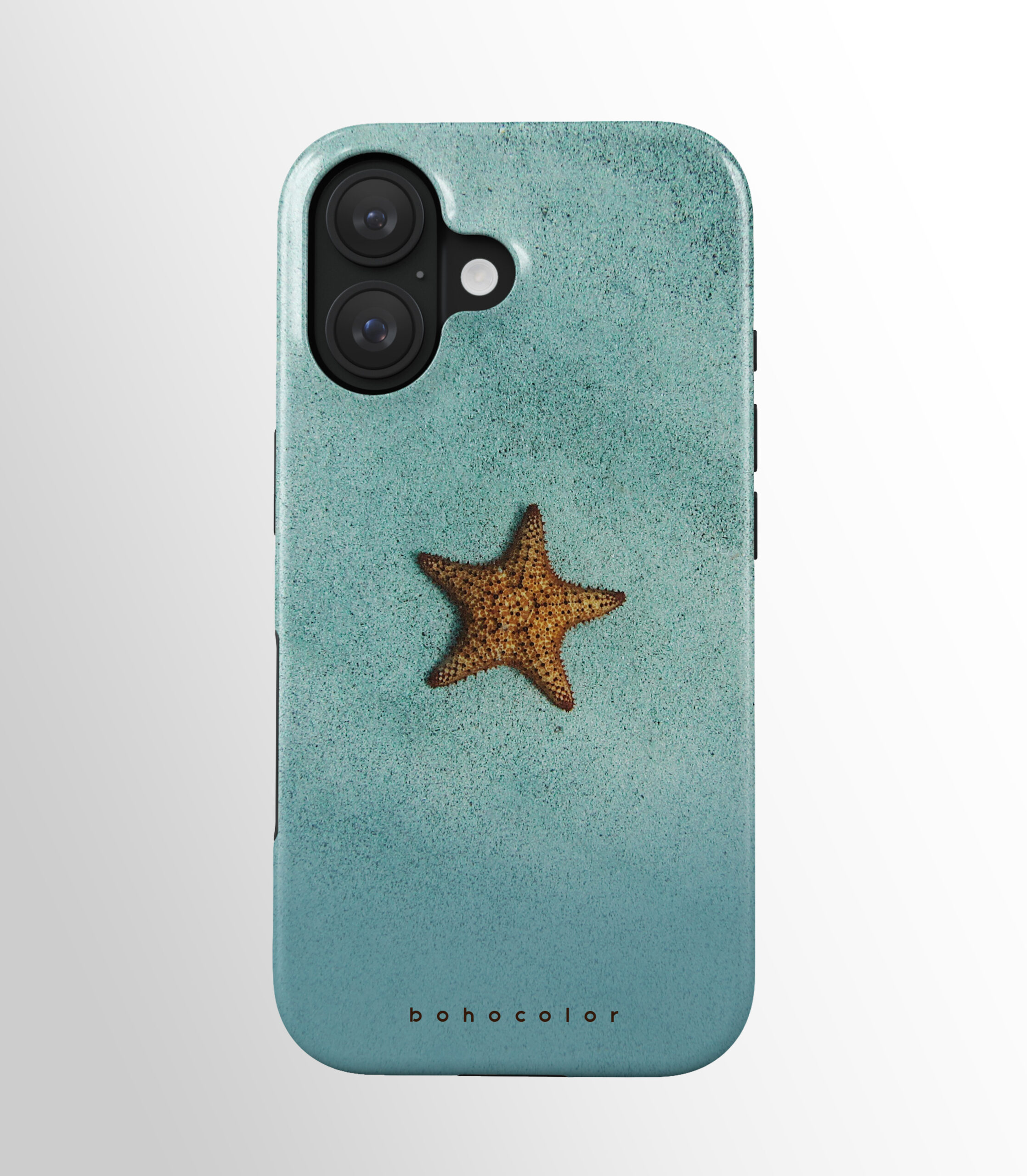 Costas de caída de estrellas