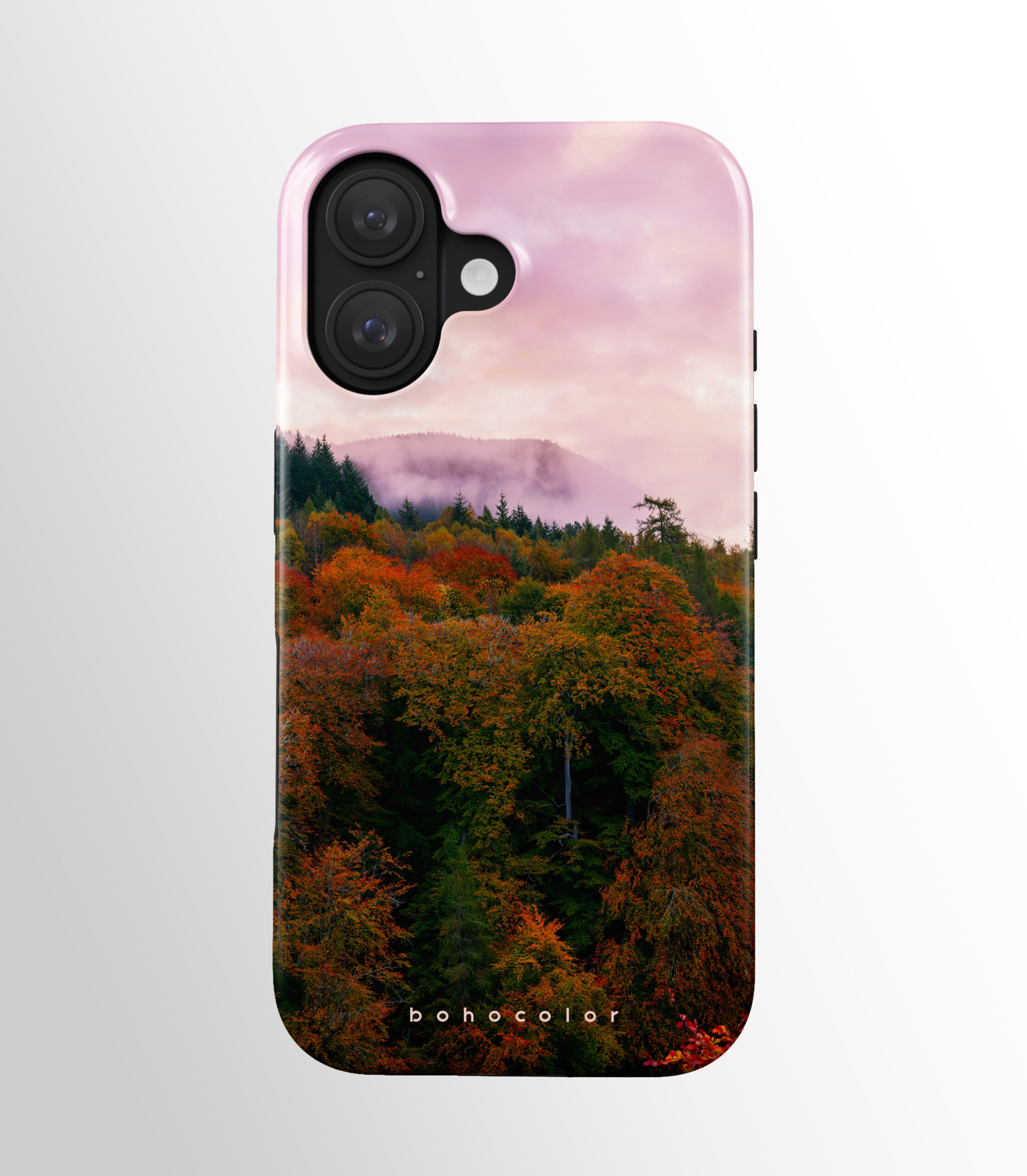Enchanted Forest - Imagen 2