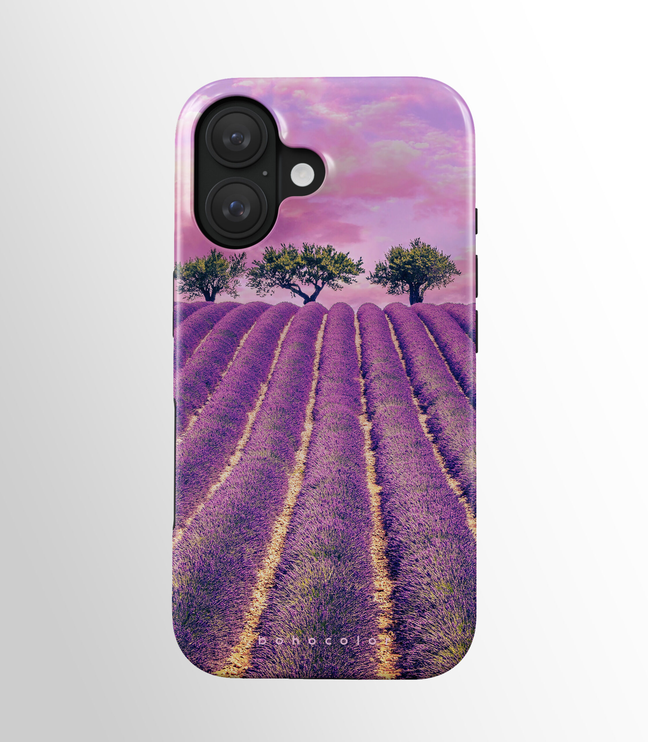 Lavender Haze - Imagen 2