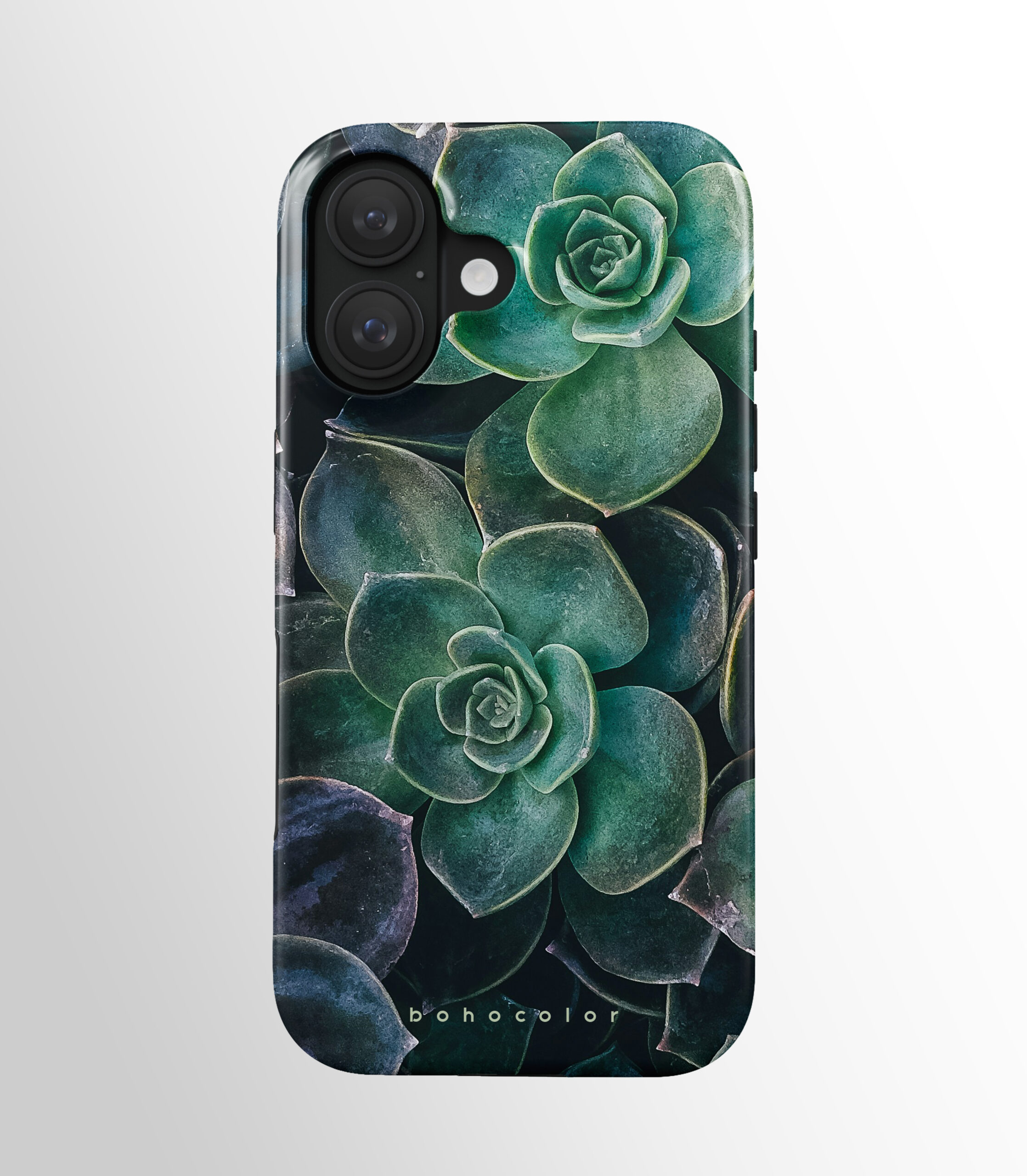 Succulent Star - Imagen 2
