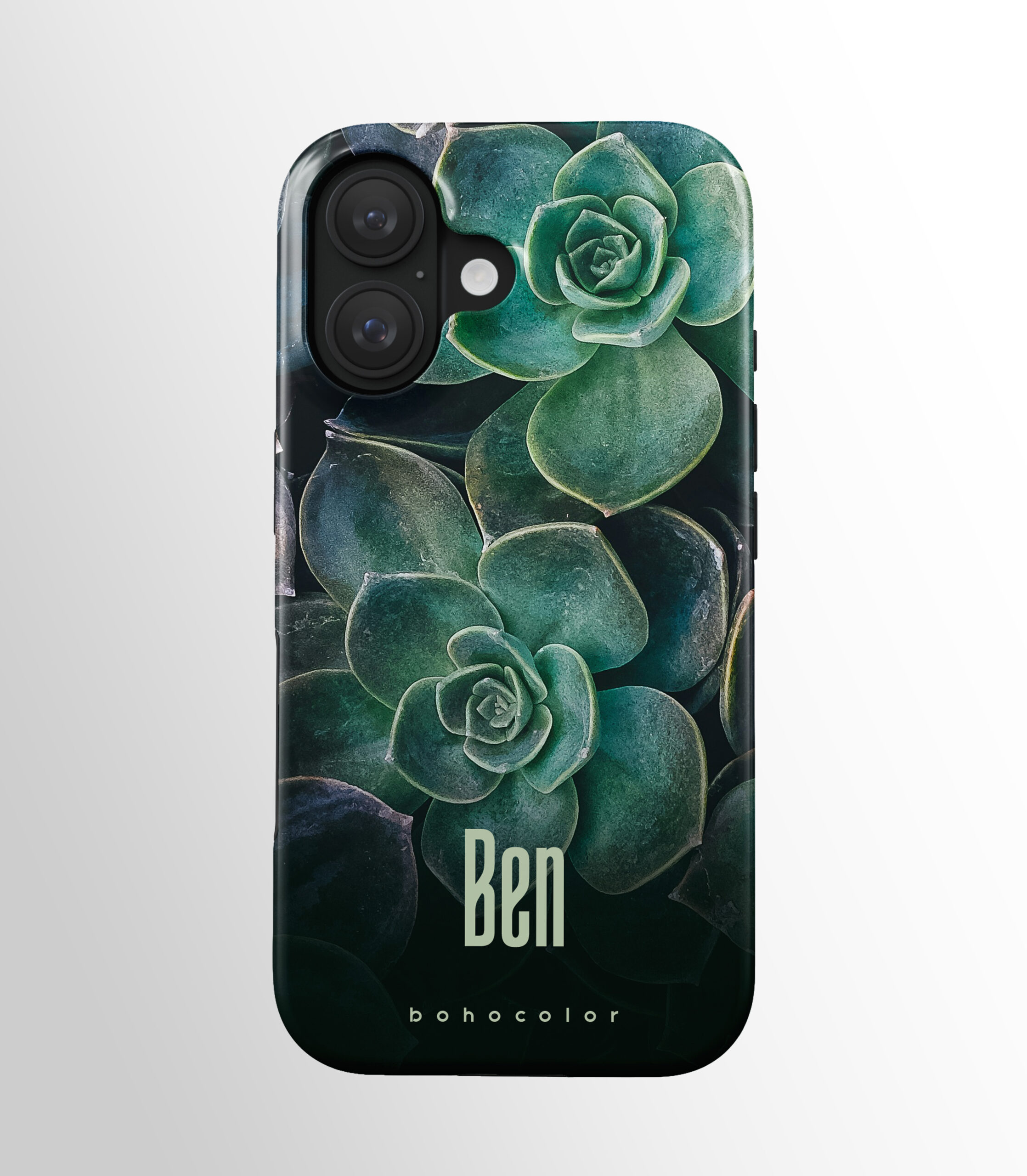 Succulent Star - Imagen 3