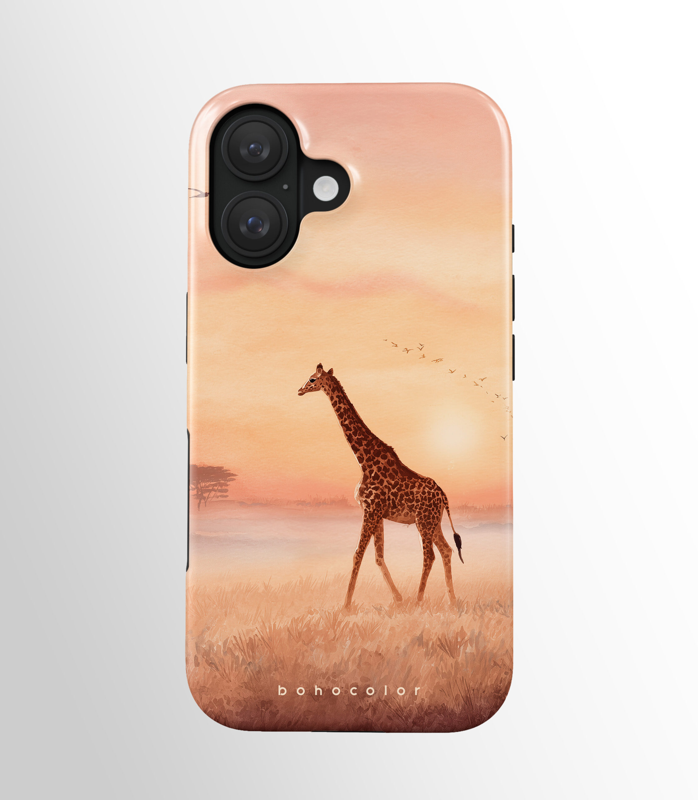 Safari Amigos